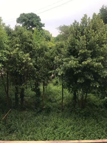 Apartamento Casa Ene