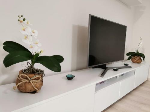 Sky Apartment