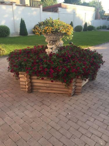 Hostal Vila Bistreanu