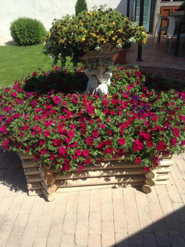 Hostal Vila Bistreanu
