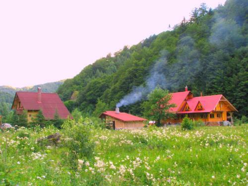 Lodge Rustic House