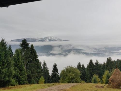 Mountain Paradise