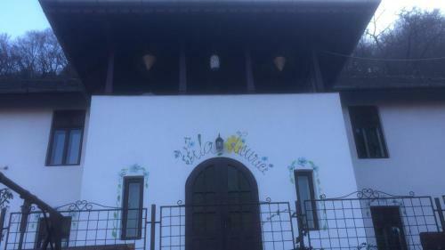 Hostal Vila Licurici