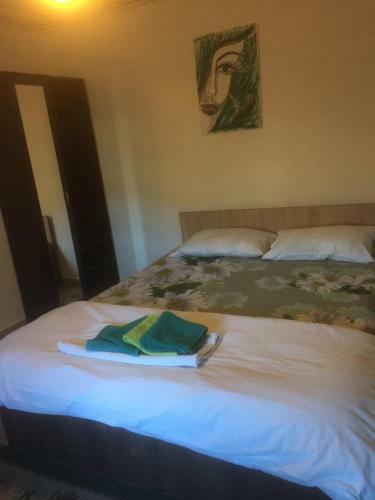 Hostal Vila Licurici