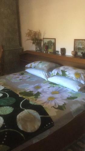 Hostal Vila Licurici
