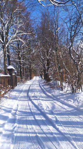 Holiday Nature House