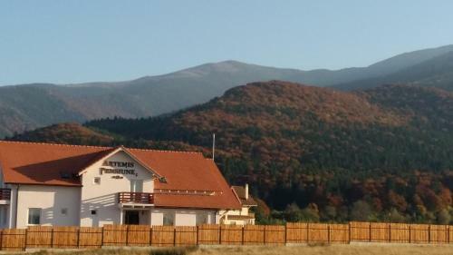 Hostal Pensiunea Artemis