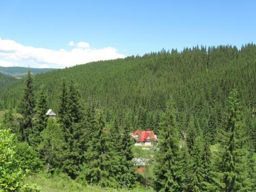 Hostal Podina Guest House