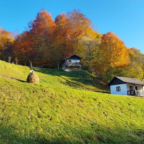 Hostal Satu Muscelean