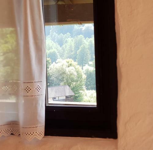 Hostal Satu Muscelean