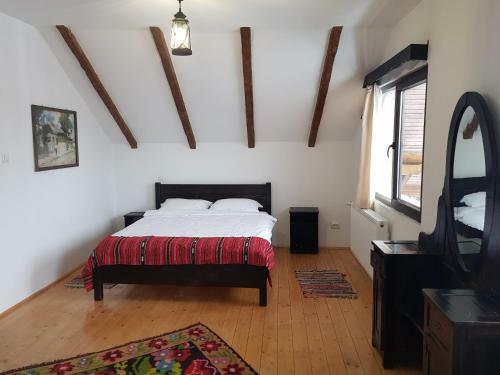 Hostal Satu Muscelean