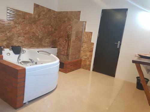 Hostal Satu Muscelean