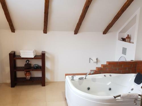 Hostal Satu Muscelean