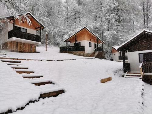 Hostal Satu Muscelean