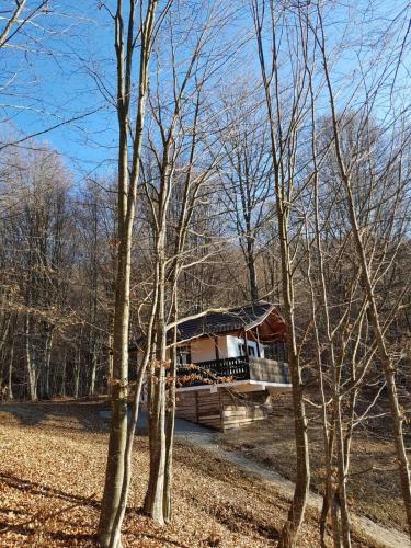 Hostal Satu Muscelean