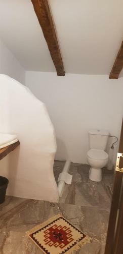 Hostal Satu Muscelean