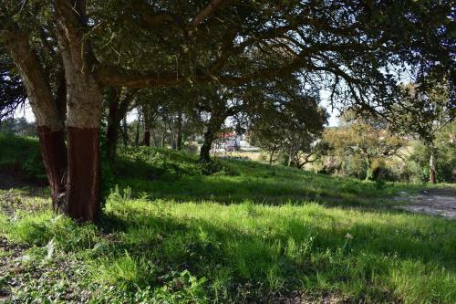 Quinta Dos Sobreiros
