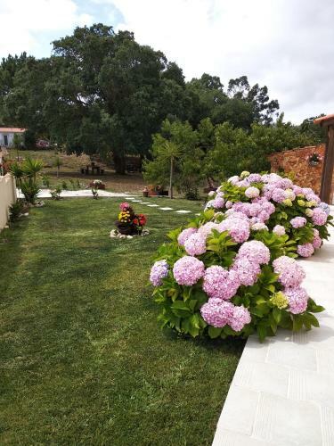 Quinta Dos Sobreiros