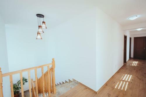 Hostal Pensiunea Bianca