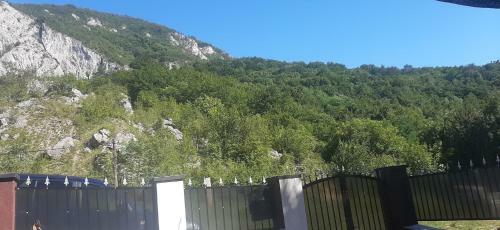 La Stanci
