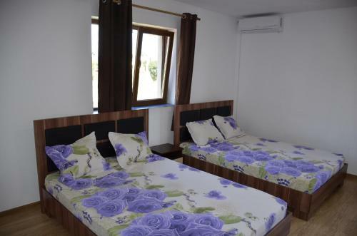Hostal Casa Sarofin