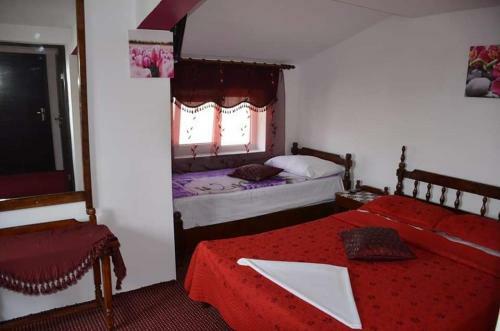 Hostal Pensiunea Albatros
