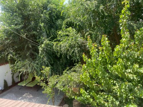 Villa Hugo's House