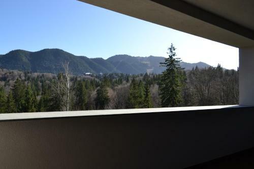 Forest Apartment Silver Mountain Resort