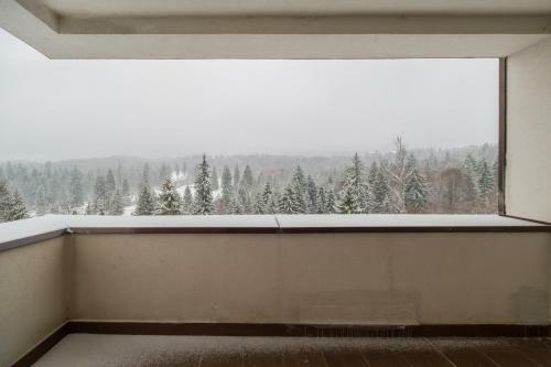 Forest Apartment Silver Mountain Resort