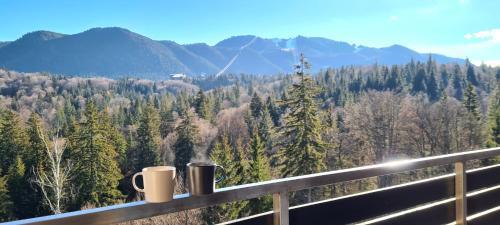 Apartamento Silver Mountain Panoramic View G1 48