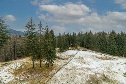 Ambient Apartment In Silver Montain - Poiana Brasov