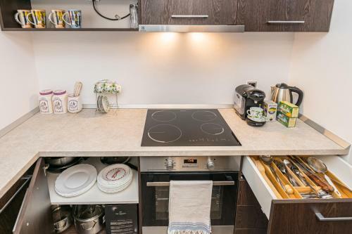 Ambient Apartment In Silver Montain - Poiana Brasov