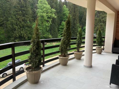 Apartamento Maya Luxury Residence