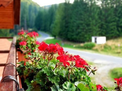 Hostal Top Mountain
