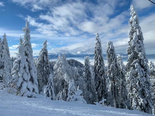 Apartamento Silver Mountain