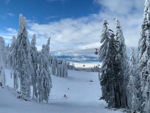 Apartamento Silver Mountain