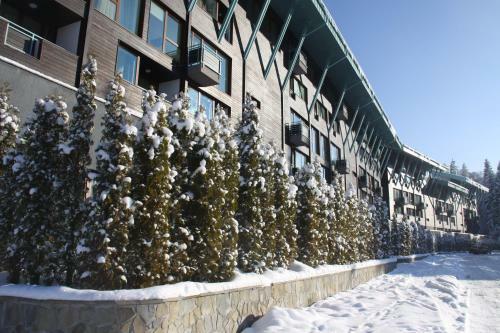 Apartamento Silver Mountain