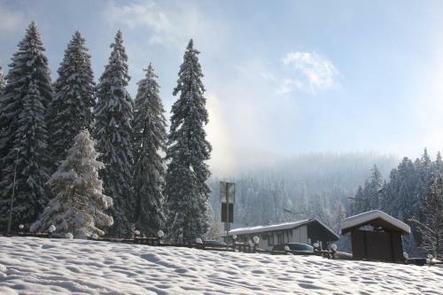 Apartamento Silver Mountain