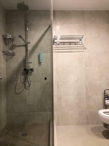 Apartamentul Verde
