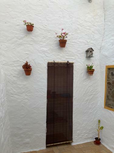 Casa Do Correio