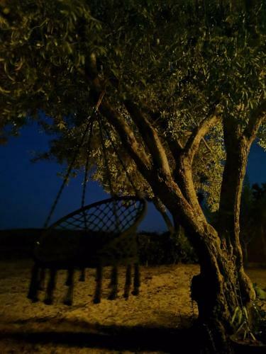 Bed & Breakfast Herdade Dos Sepol