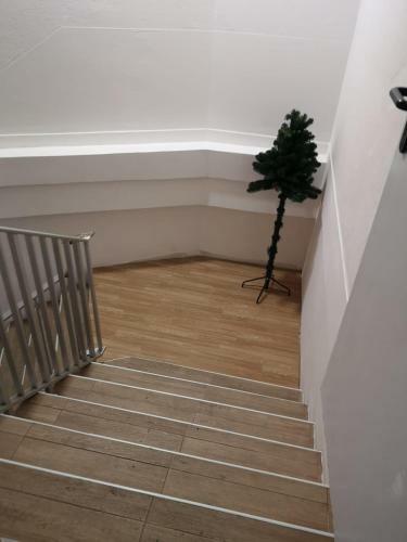 Hostal Pousada Do Zuca