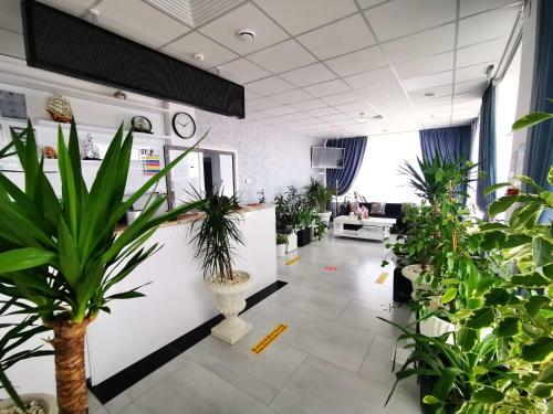 Hostal Vila Roxy