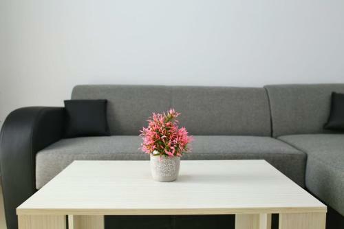 Hostal Casa Margo