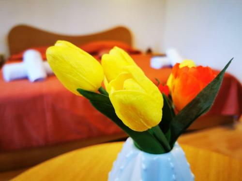 Arka Apartments