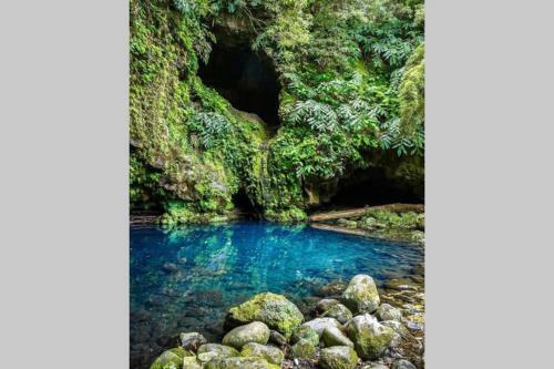 Typical Azorean Cottage