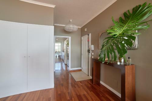 Charming Deluxe Apartment