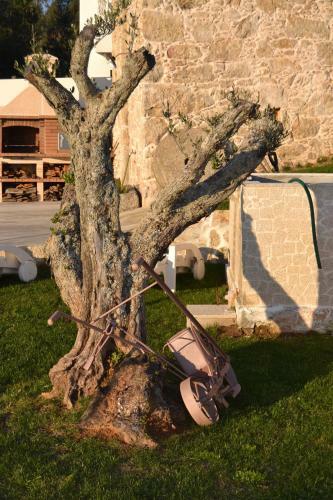Casa Da Trapa