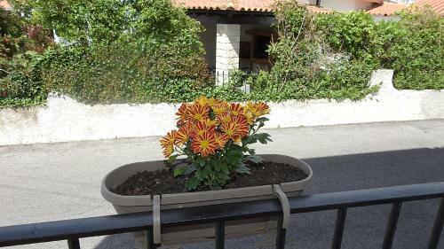 Hostal Hospedaria Do Senhor Da Pedra