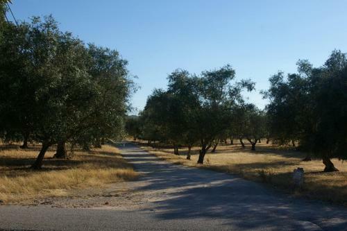 Bed & Breakfast Quinta Laranjal Da Arrabida